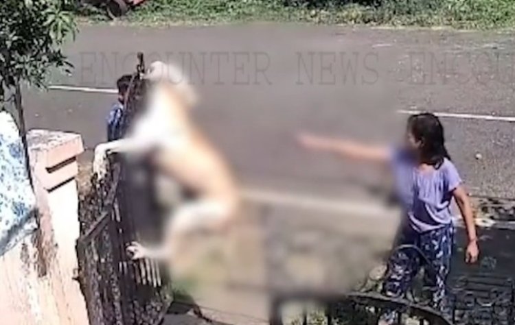 ट्रेनर और महिला ने डॉग को दी फांसी, मामला दर्ज, देखें CCTV
