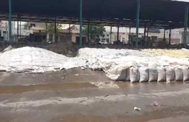 पंजाब : मंडियों में भरा बारिश का पानी, किसान हुए परेशान , देखे वीडियो