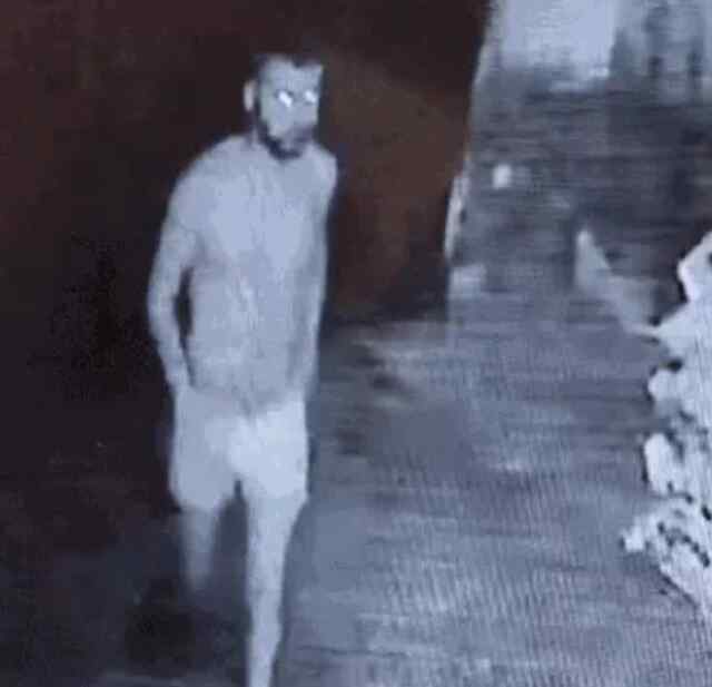 पंजाब के पड़ोसी राज्य मे कच्छा चोर गिरोह हुआ सक्रिय , इलाके मे फैली दहशत 