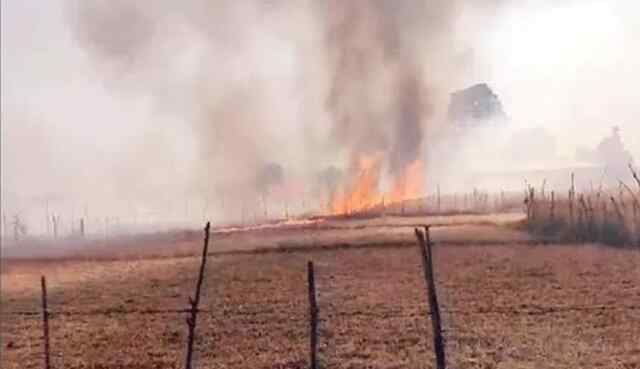 नंदपुर, पंजोआ में गेहूं की फसल जलकर राख