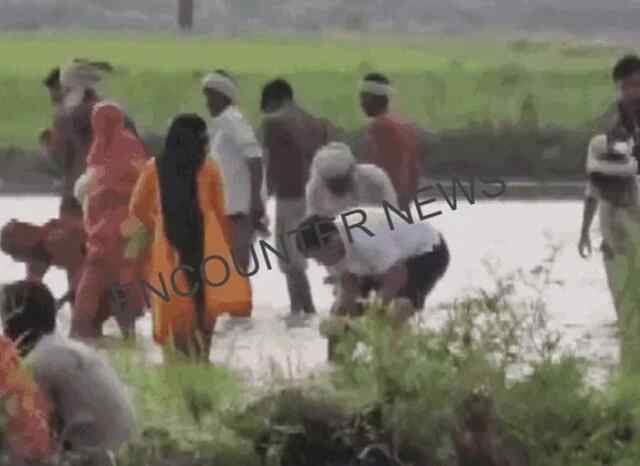 पंजाब : धान की रोपाई का शेड्यूल हुआ जारी, सरकार ने प्रदेश को दो भागों में बांटा