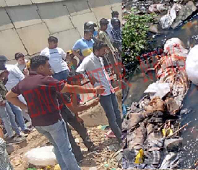 पंजाबः नाले के पास से लाश बरामद, हत्या की आंशका, देखें वीडियो