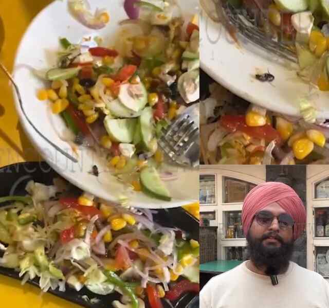 पंजाबः मशहूर रेस्टोरेंट के सलाद से निकला कॉकरोच, देखें वीडियो