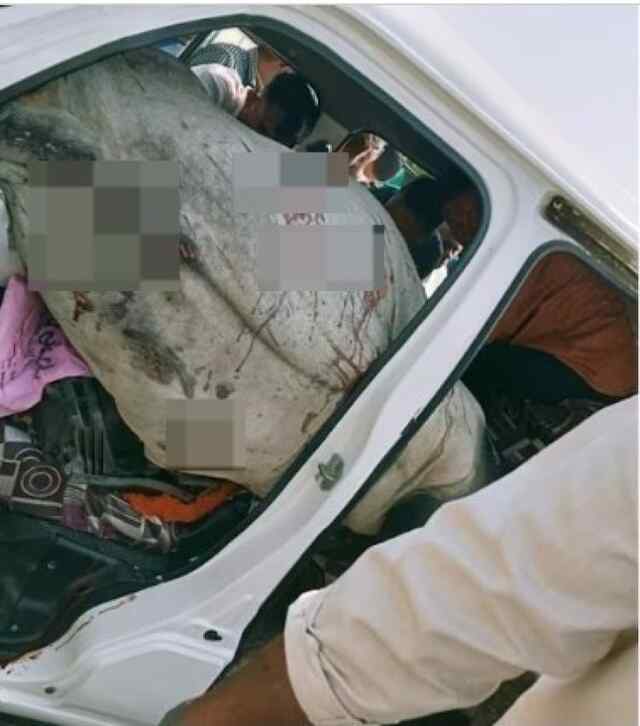 हाईवे पर तेज रफ्तार कार और सांड की टक्कर, मौ’त