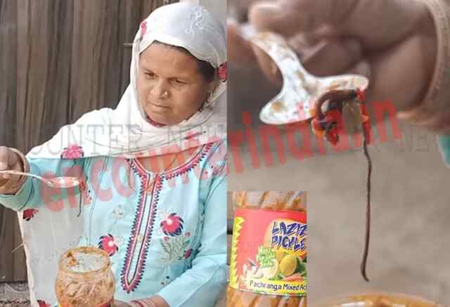 अचार के  डिब्बे में निकला सांप, परिवार में दहशत, देखें वीडियो