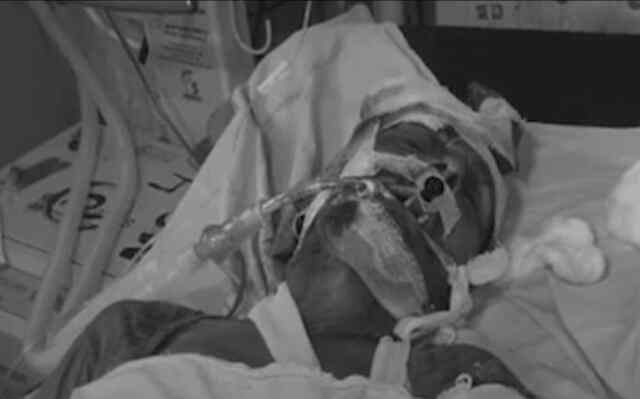बहू ने कमरे में बंद कर ससुर को दी Painful मौ’त
