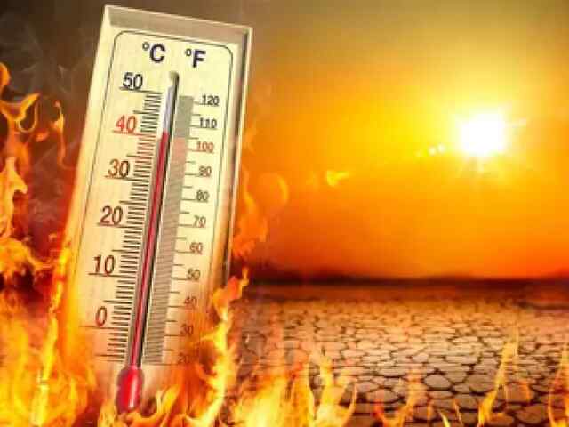 24 घंटे में Heat wave से 45 लोगों की मौत! राज्य में अब तक जा चुकी 141 जानें