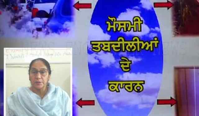 Punjab: मौसम को लेकर Yellow Alert जारी, जरूरी काम पर निकले घरों से बाहर, देखें वीडियो
