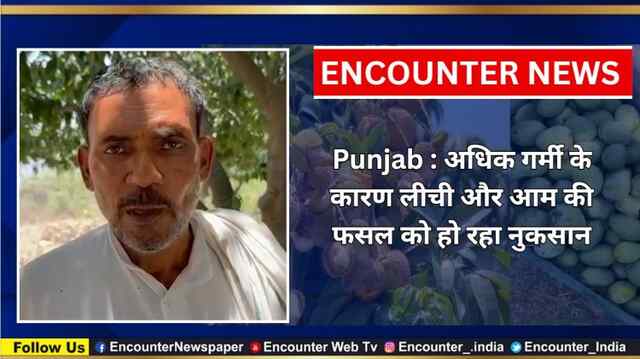 Punjab : अधिक गर्मी के कारण लीची और आम की फसल को हो रहा नुकसान, देखें वीडियो