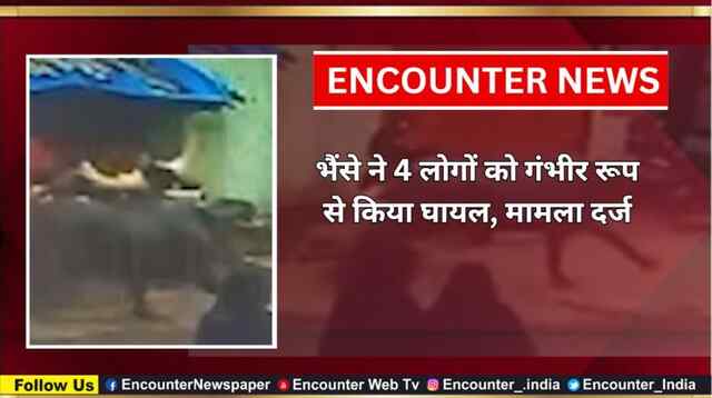 भैंसे ने 4 लोगों को गंभीर रूप से किया घायल, मामला दर्ज, देखें वीडियो