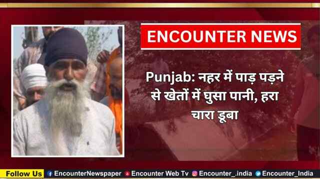 Punjab: नहर में पाड़ पड़ने से खेतों में घुसा पानी, हरा चारा डूबा, देखें वीडियो