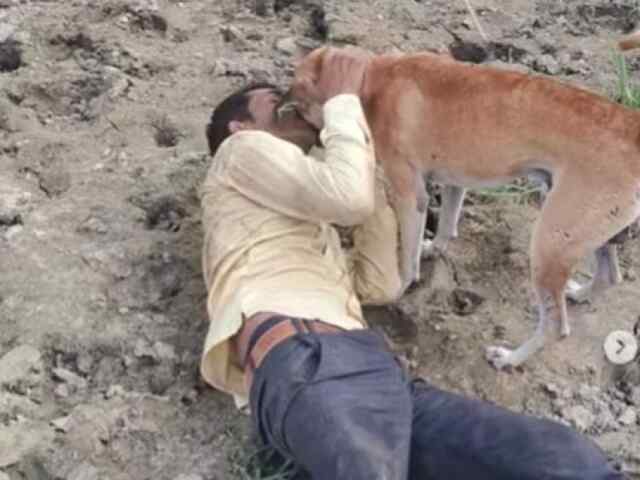 शराब के नशे में शख्स ने कुत्ते को समझ लिया बीवी, फिर…