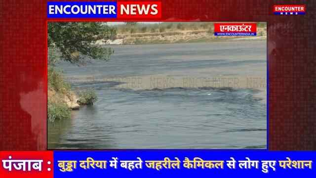 Ludhiana : बुड्ढा दरिया में बहते जहरीले कैमिकल से लोग हुए परेशान, देखें वीडियो