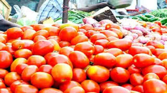 घर का बिगड़ा Budget, 100 रुपए किलो पहुंचा Tomato