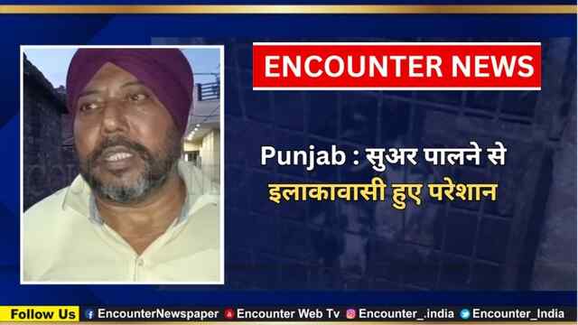 Punjab : सुअर पालने से इलाकावासी हुए परेशान, देखें वीडियो