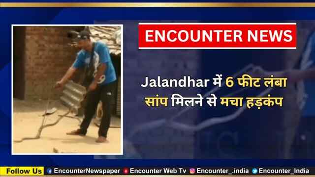 Jalandhar में 6 फीट लंबा सांप मिलने से मचा हड़कंप, देखें वीडियो