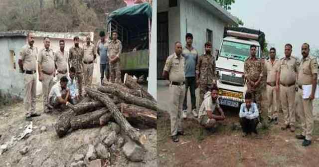 ध्यूंसर वन से दो कुख्यात खैर तस्कर दबोचे