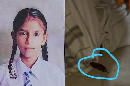 Punjab: Birthday के दिन सांप के डंसने से 5वीं कक्षा की छात्रा की हुई मौत