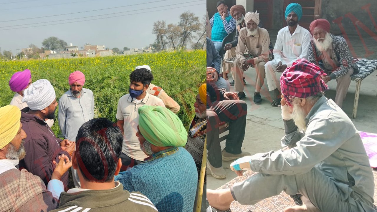Punjab News: लोगों पर जानवरों ने किया हमला, दहशत का माहौल, देखें वीडियो