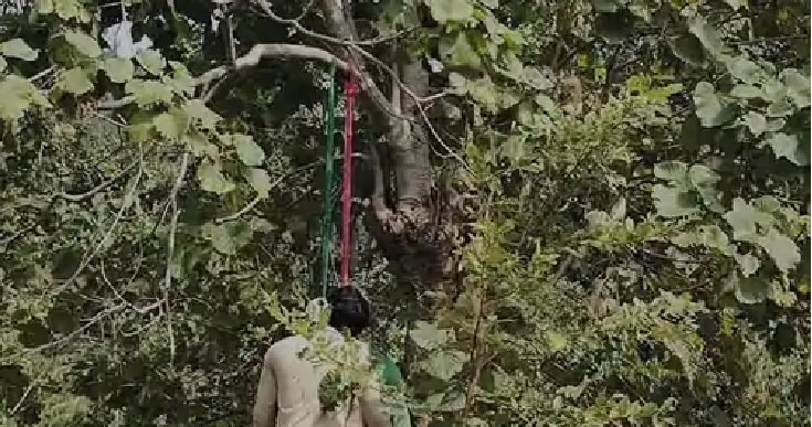 जंगल में फंदे से लटकते मिले गर्लफ्रेंड-बॉयफ्रेंड, काफी दिनों से घर से थे लापता