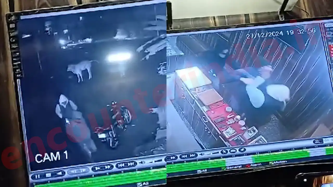 Jalandhar News: JMD Jewellers से नगदी और सोना लेकर लुटेरे फरार, देखें वीडियो