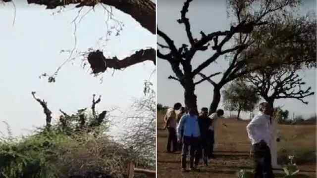 अपने ही खेत में संदिग्ध अवस्था में फंदे से लटका मिला किसान, जांच में जुटी पुलिस