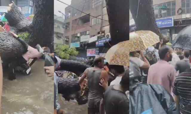 बारिश का कहर: बाइक सवारों पर गिरा पेड़, 1 की मौत, देखें दिल दहलाने वाली वीडियो