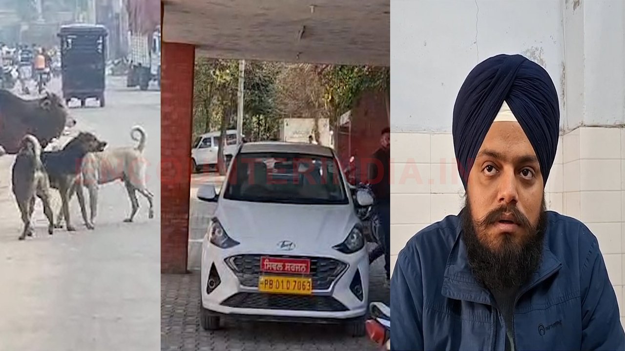 Punjab News: कुत्तों का कहर, 9 माह में 5945 मामले आए सामने, देखें वीडियो