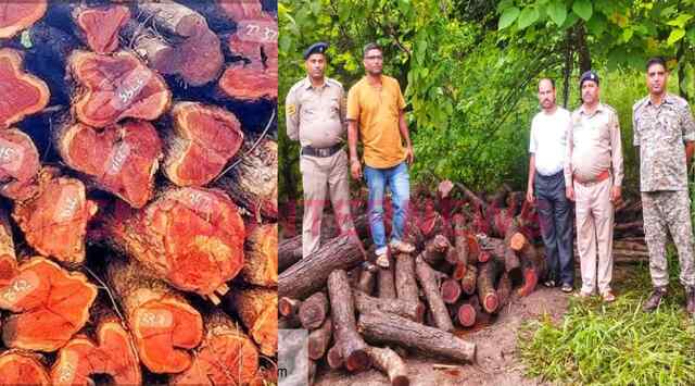 बसाल के तल्प गांव में अवैध खैर कटान को लेकर दो लोगों पर मामला दर्ज