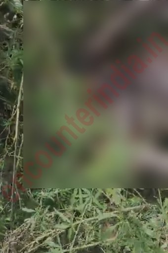 Punjab : झाड़ियों से एक युवक का शव बरामद