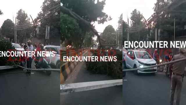 Jalandhar News: मेन चौक पर गिरी बिजली की तार, लगा लंबा जाम, देखें Live