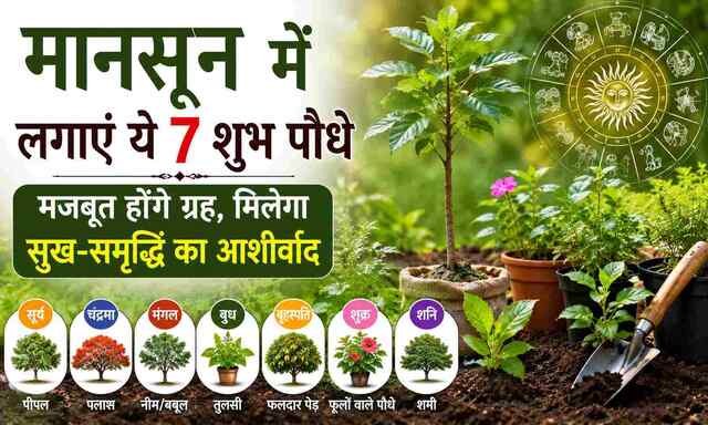 मानसून में लगाएं ये 7 शुभ पौधे, ज्योतिष के अनुसार मजबूत होंगे ग्रह, मिलेगा सुख-समृद्धि का आशीर्वाद