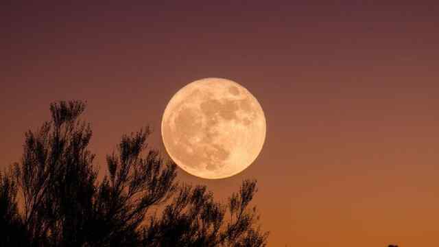 19 April से बदलेगी इन राशियों की किस्मत, शनि चलेंगे उल्टी चाल