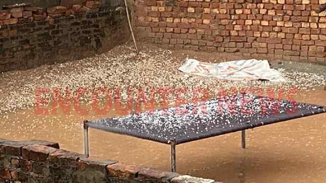 Punjab News: बदला मौसम का मिजाज, इस जिले में हुई भारी ओलावृष्टि