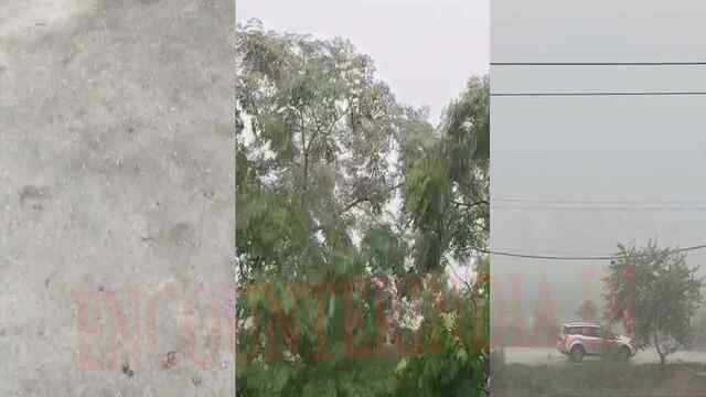 Jalandhar News: बारिश से मौसम हुआ सुहावना, विभाग ने जारी की चेतावनी, देखें वीडियो