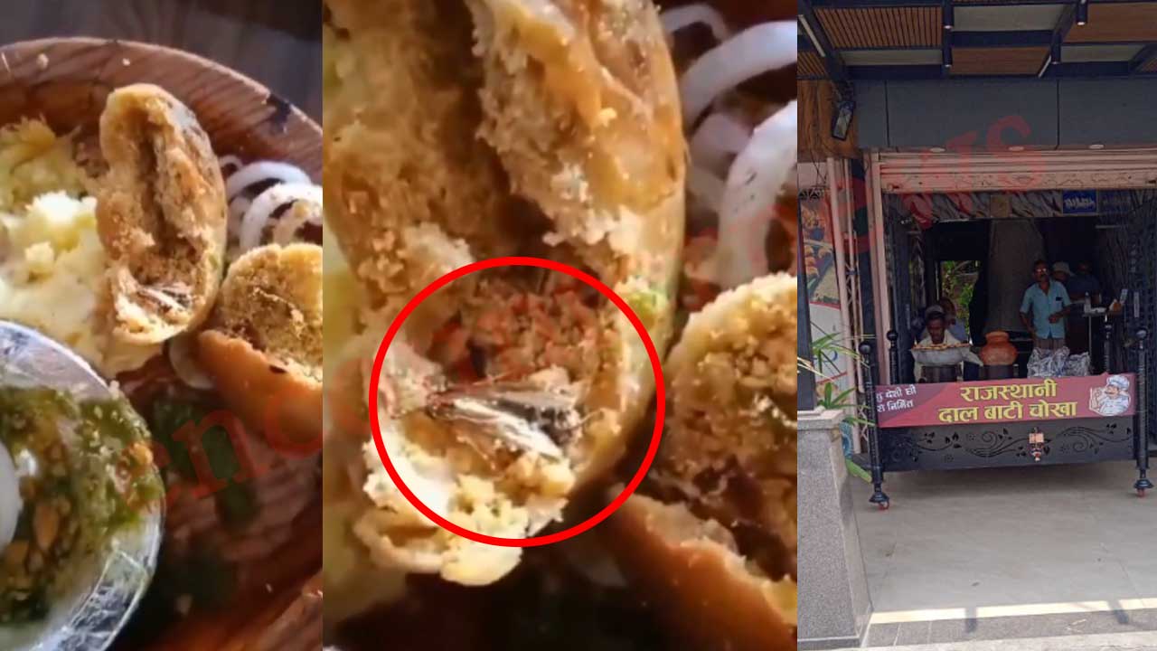 Rajasthani Chokha-Baati में परोसे खाने से निकला कॉकरोच; युवक की तबीयत बिगड़ी, देखें वीडियो
