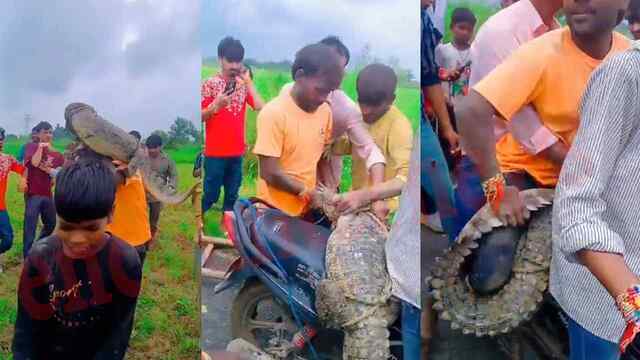 बोरवेल से बकरी की जगह मिला Crocodile, बाइक पर ले गए युवक, देखें वीडियो