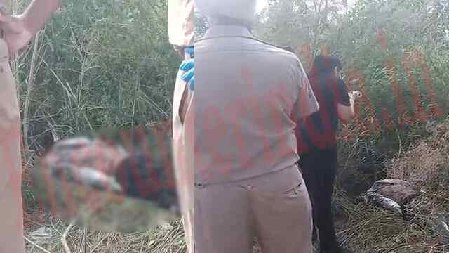Punjab News: संदिग्ध परिस्थितियों में युवक का शव बरामद, परिवार ने जताई हत्या का आंशका, देखें वीडियो
