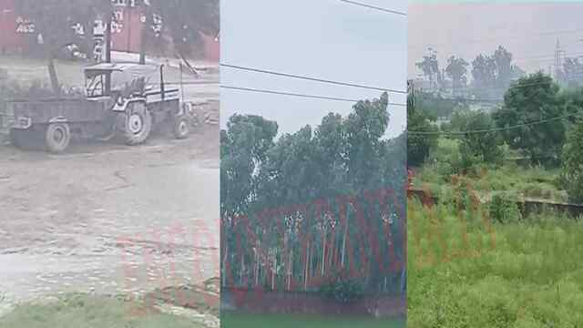 Jalandhar News: बारिश से लोगों को मिली उमस से राहत, देखें वीडियो