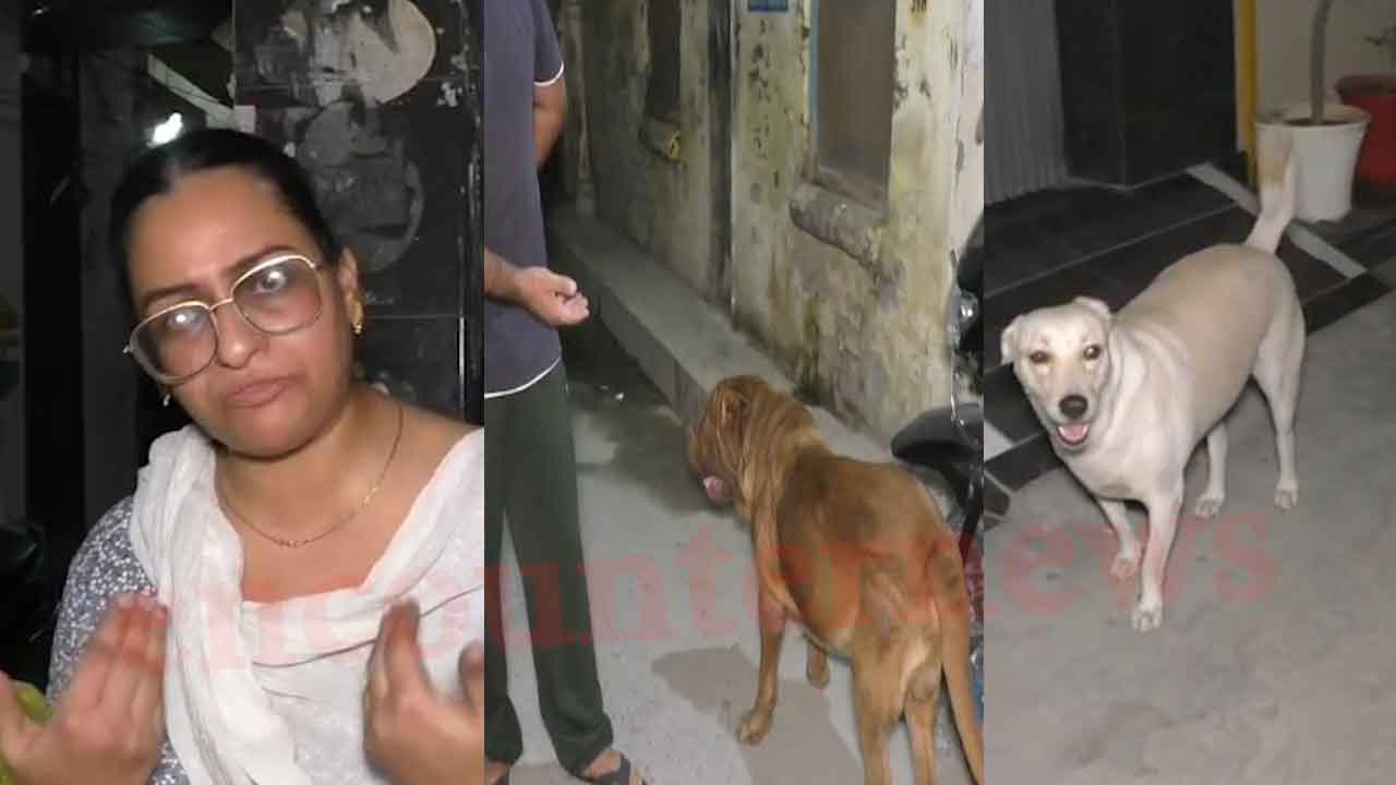 Punjab News: इस इलाके में लोगों ने Dog Lovers के खिलाफ खोला मोर्चा, हुआ जमकर हंगामा, देखें वीडियो