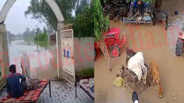 Punjab News: बाढ़ के पानी में डूबा गांव, घरों और स्कूल की छतों पर रहने को लोग मजबूर, देखें वीडियो