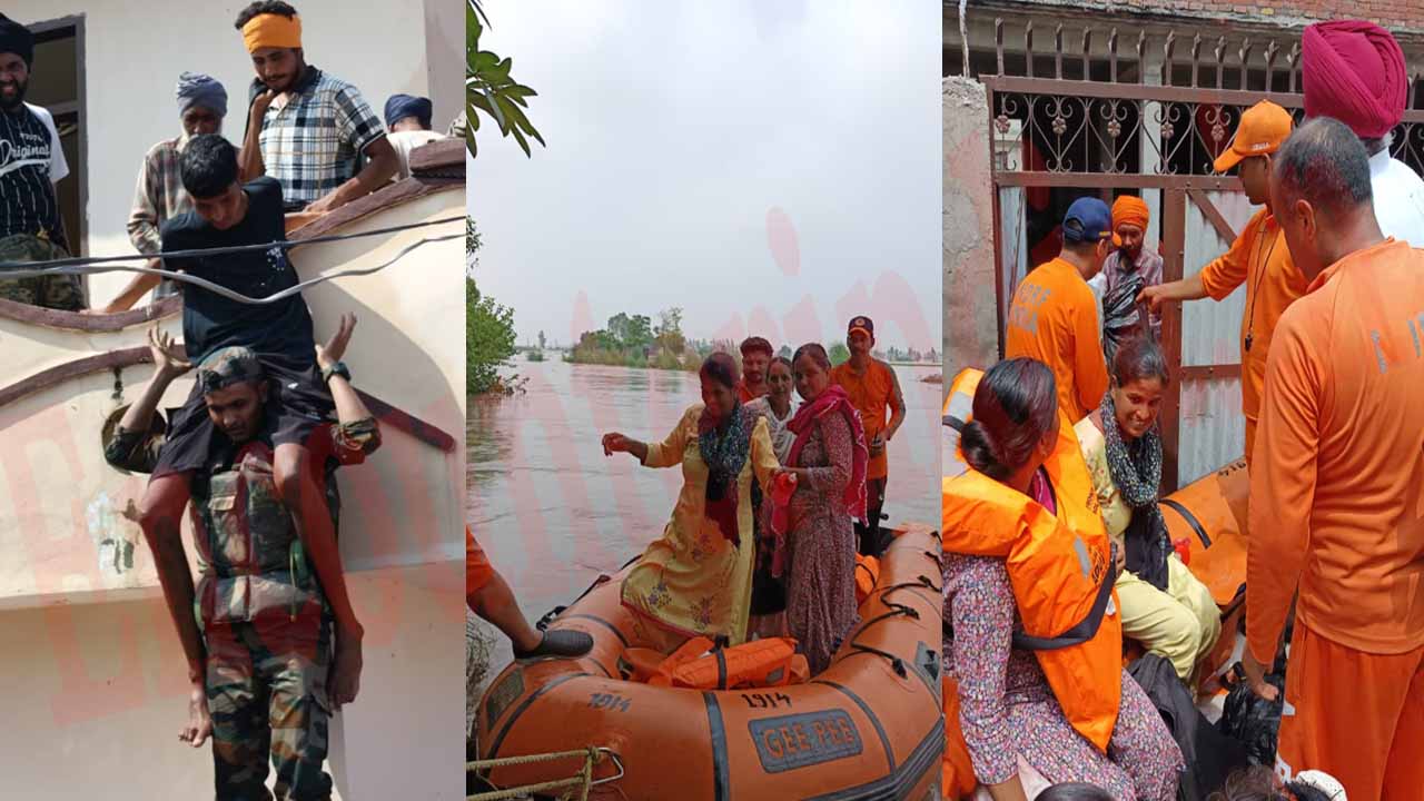 Punjab News: बाढ़ ग्रस्त इलाकों में जुटी DC, सेना, NDRF और पुलिस, 50 गांव हुए प्रभावित, देखें वीडियो