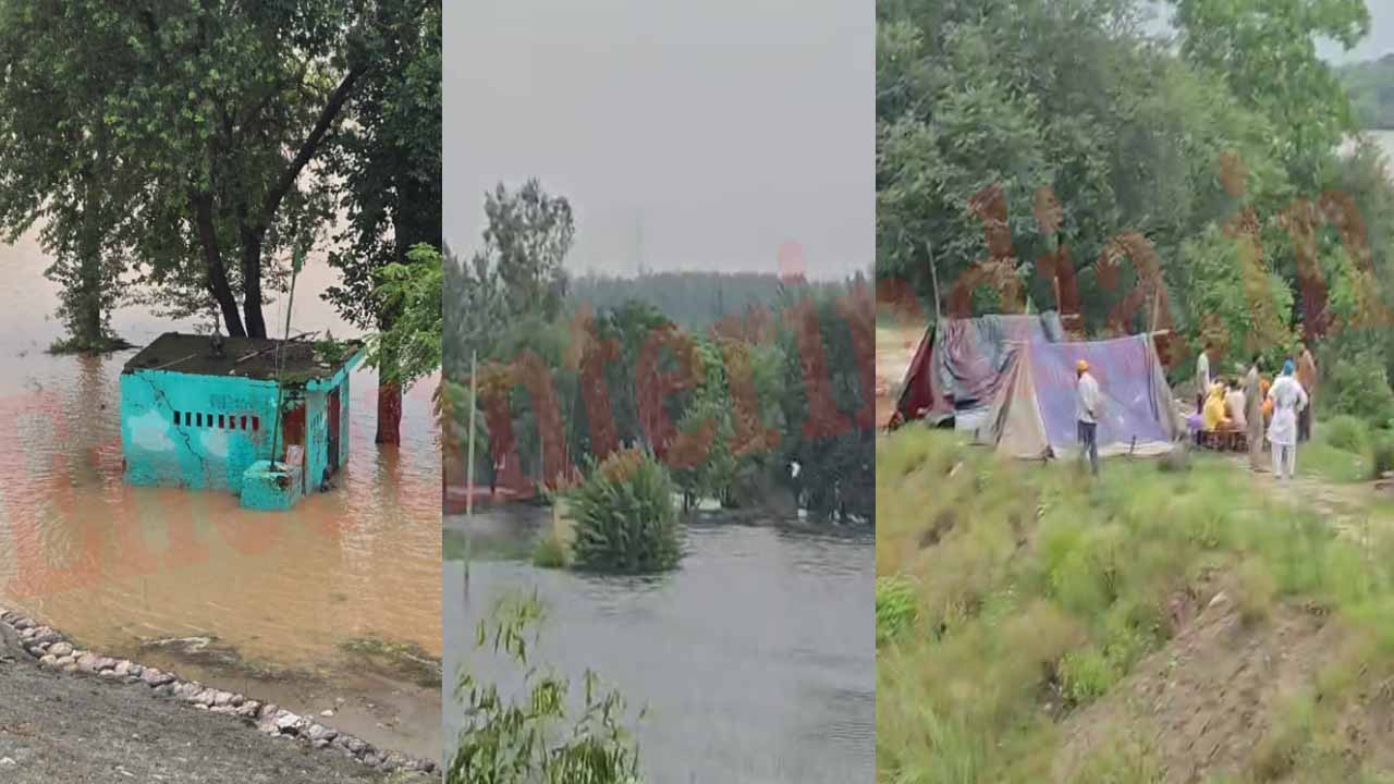 Punjab News: खतरे के निशान से ऊपर बह रहा पोंग डैम, दहशत में लोग, देखें वीडियो