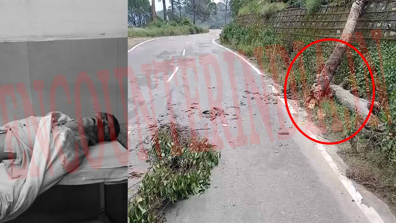 Haryana News: पेड़ गिरने से बाइक सवार की मौत
