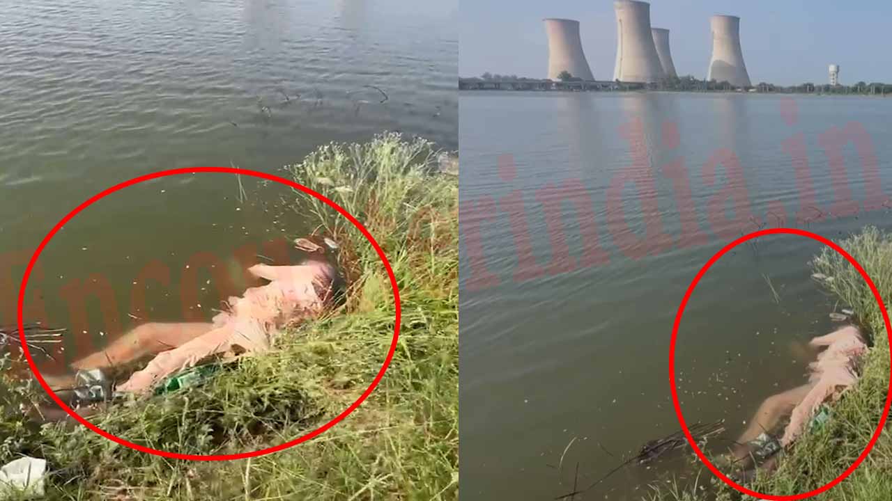 Punjab News: झील से मिला बुजुर्ग का शव, पुलिस जांच में जुटी, देखें वीडियो