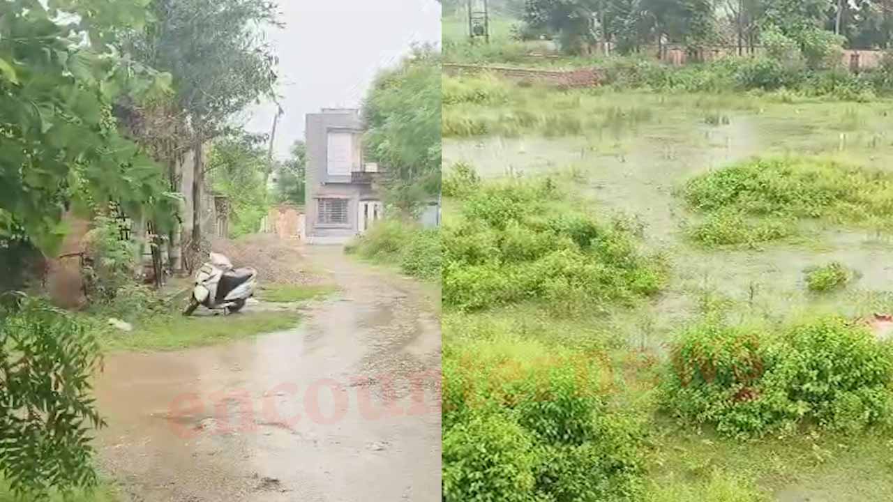 Jalandhar News: झमाझम बारिश से सुहावना हुआ मौसम, सड़कों पर जलभराव, देखें वीडियो