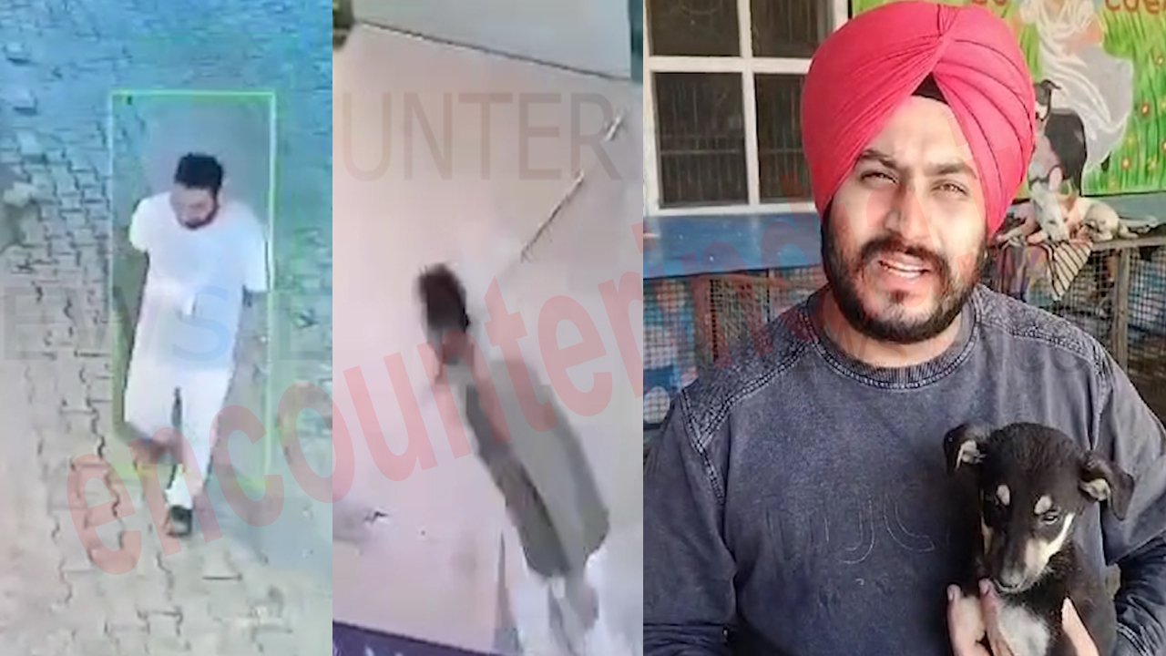 Punjab News: पिल्लों को पीटने वाले आरोपी पर FIR दर्ज, देखे CCTV Punjab News: पिल्लों को पीटने वाले आरोपी पर FIR दर्ज, देखे CCTV