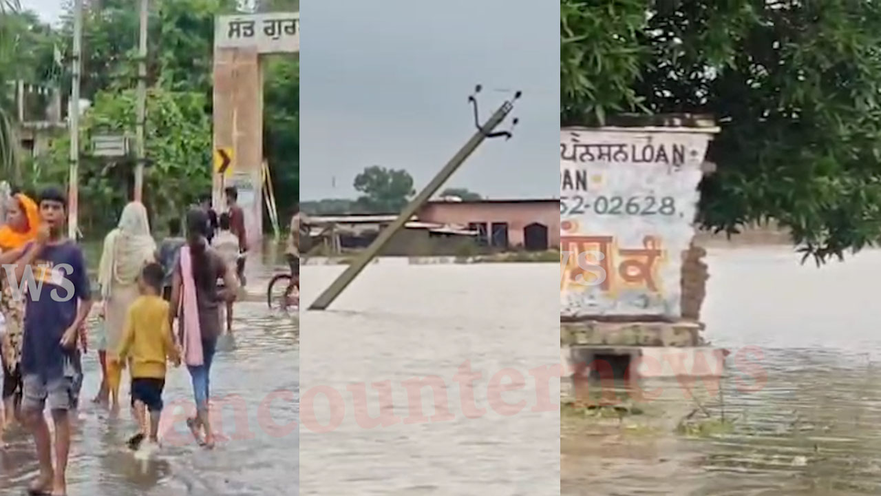 Jalandhar News: चिट्टी बेई का Overflow हुआ पानी, गांव की फसल हुई खराब, देखें Live