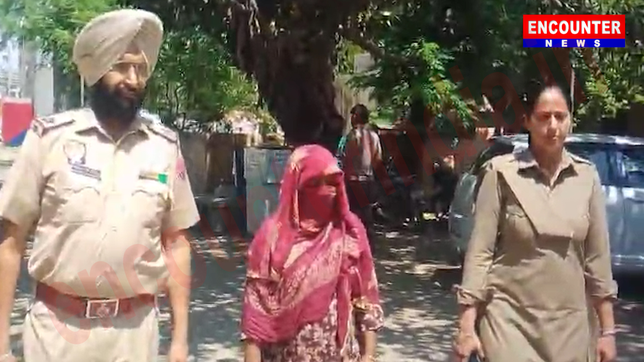 Punjab News: 73 हजार की ड्रग मनी और 700 ग्राम गांजे के साथ महिला गिरफ्तार, देखें वीडियो