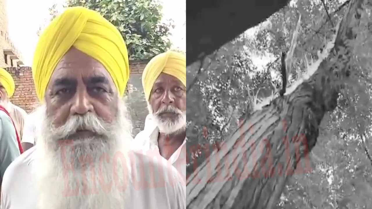 Punjab News: घर पर आसमानी बिजली गिरने से पशुओं की हुई मौत, देखें वीडियो